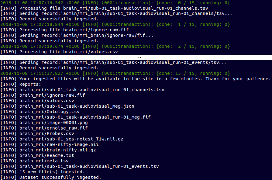 ebulk-ingestion-process-and-report