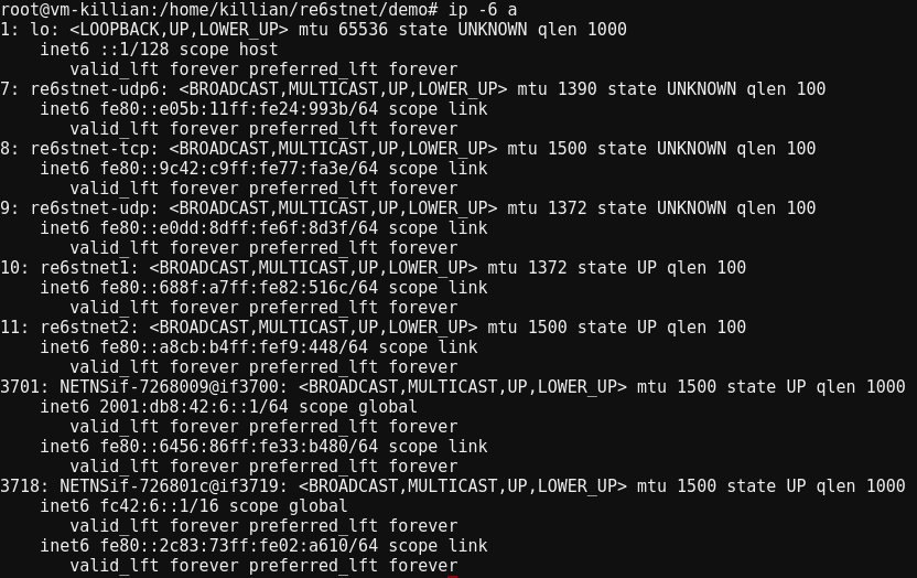 Interfaces on a re6st node